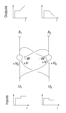 A sketch of a neural integrator model. Source: Neural Integrator Models, Encyclopedia of Neuroscience (2009), https://doi.org/10.1016/B978-008045046-9.01434-0